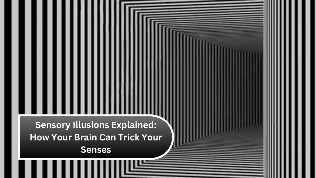 Sensory Illusions Explained: How Your Brain Can Trick Your Senses