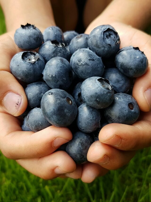 person holding black round fruits