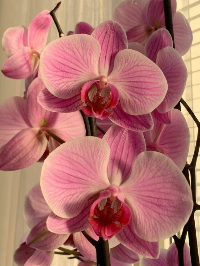 1b4d8d5782a367af8ac79cc6d55448a4