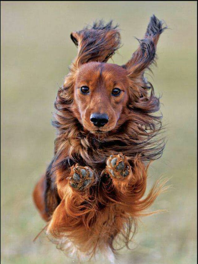 1dc4fef08ae4bc87889cf0be7ad3e94f