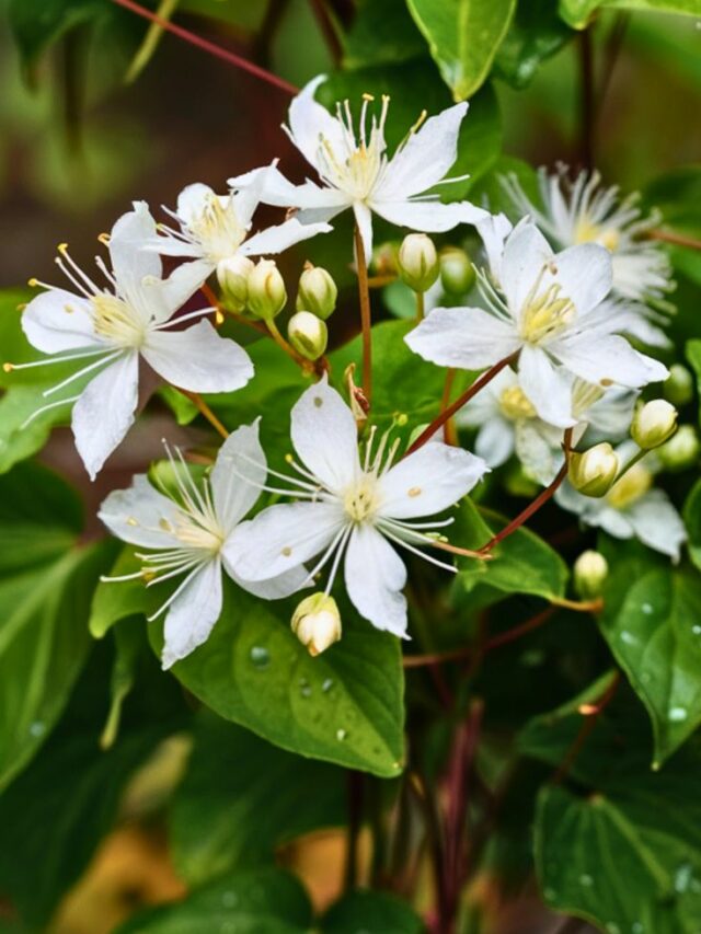 2f0f6d54478360ecffbbc50b6f6ecfed