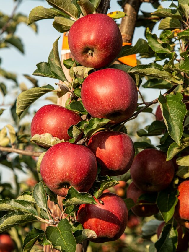 8 High-Carb Foods To Help Boost Your Energy and Metabolism