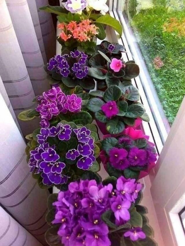 43db2157cfacd4b43d06eb546a7ac7e8