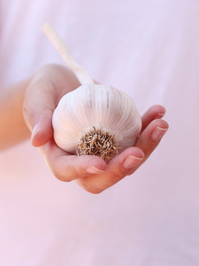 white and brown flower on persons hand