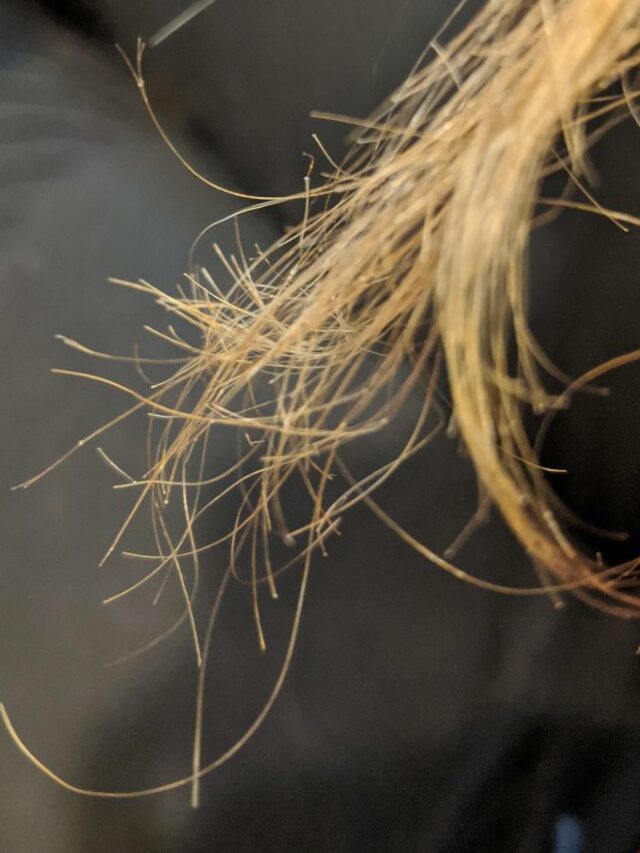 74f553c98621edc15d60fdb9dda2ea68