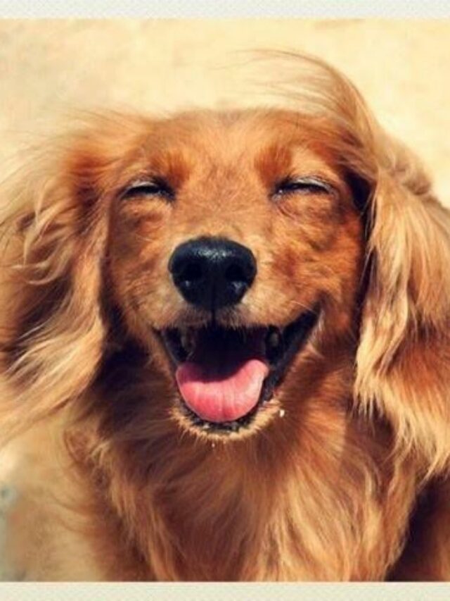 7d6013d22f4c7e16758ffd89d3640fb5