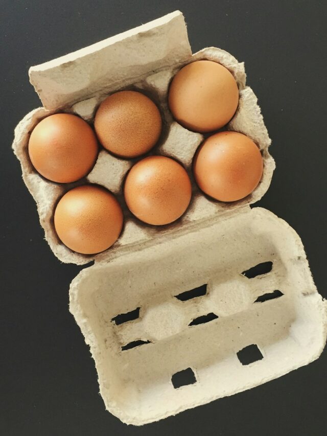 six brown fowl eggs in tray