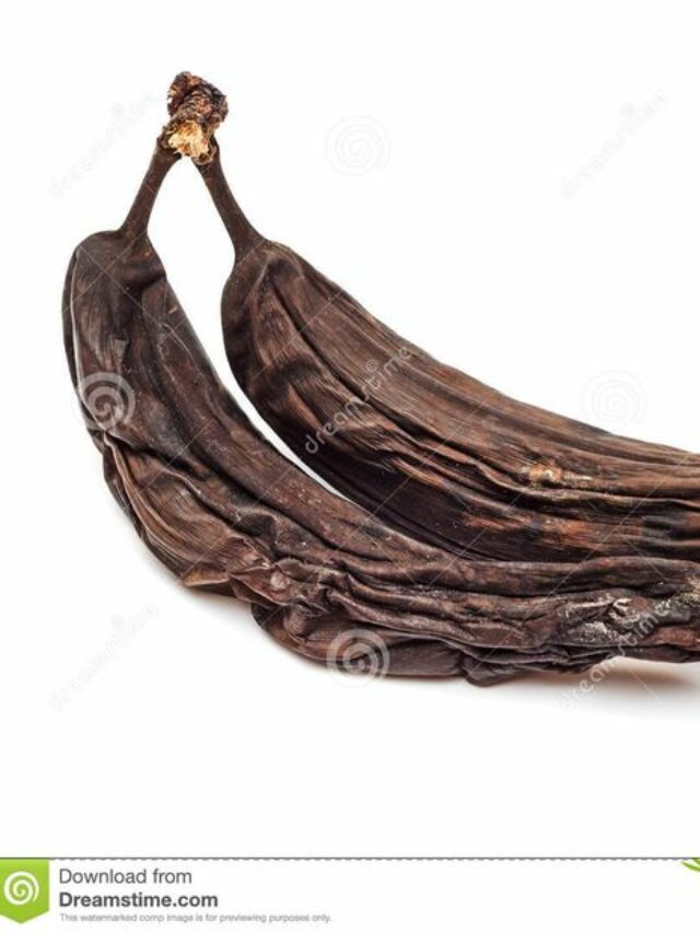 8fb2366fdfece7d4df3098ceae751113