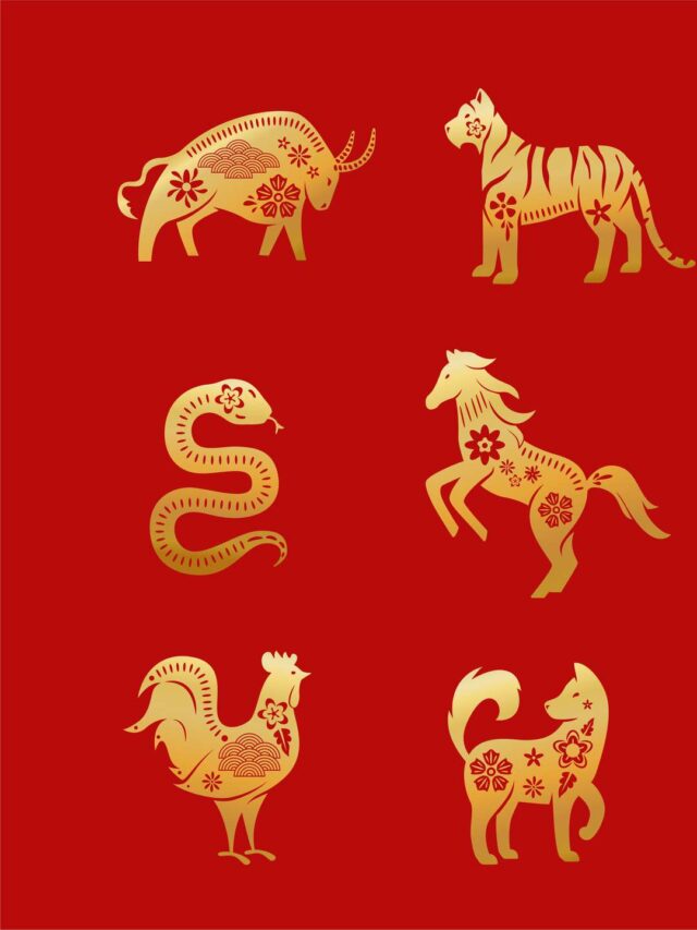 Interesting Facts About Chinese Zodiac Signs That Will Leave You Surprised