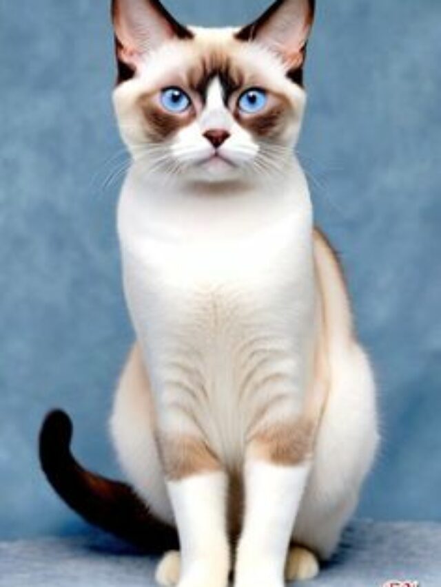 bb9359b7f5d5c4ec86fa875151bf552d