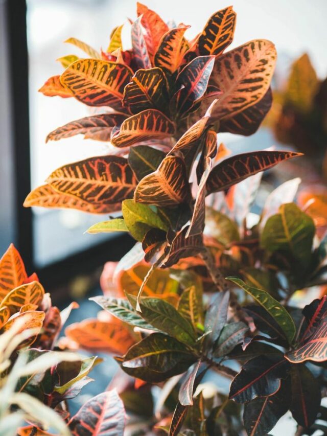 bc75b8a85a00d2c7a037f4e08bdc4403