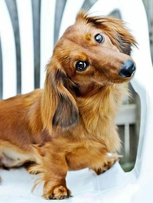 f659fd8db16f55d5dd0e90015b989795