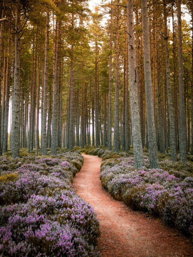 5 zodiac signs that will make bold decisions in 2025