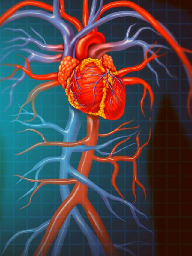 Natural Drinks to Lower High Cholesterol