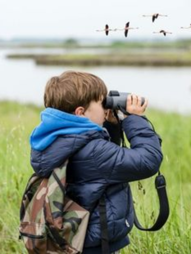 Explore America’s Top 10 Bird-Watching Spots