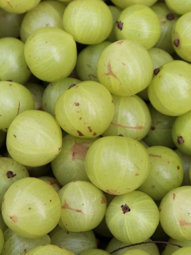 10 benefits of chewing 1 amla daily on an empty stomach
