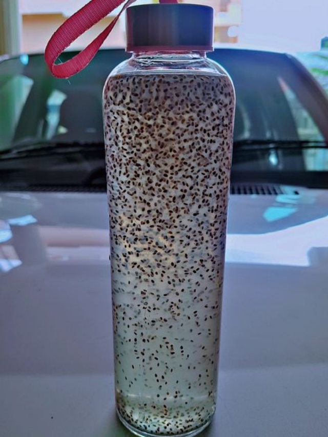 What happens when you drink coriander water daily with chia seeds?