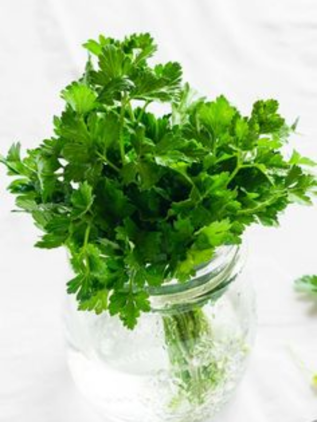 How to Revive Wilted Parsley and Cilantro