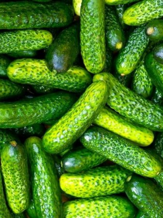 Make the Best Cucumber Salad with Just 4 Ingredients