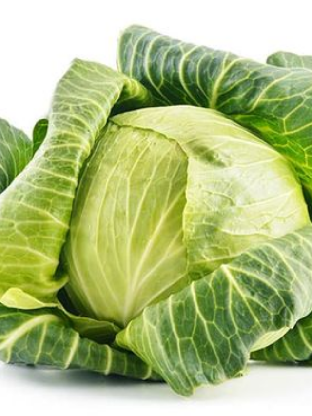 How To Easily Shred Cabbage And Never Buy The Bagged Stuff Again