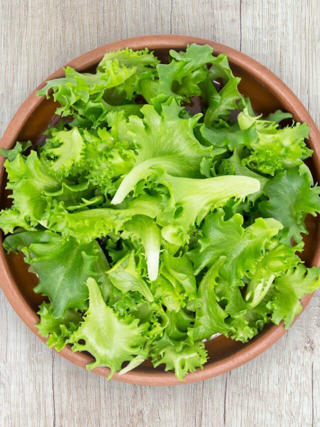 How to Keep Lettuce Fresh