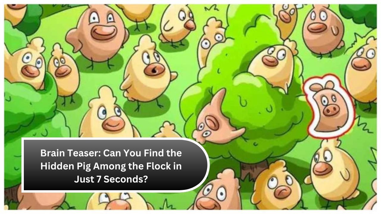 Brain Teaser: Can You Find the Hidden Pig Among the Flock in Just 7 Seconds?