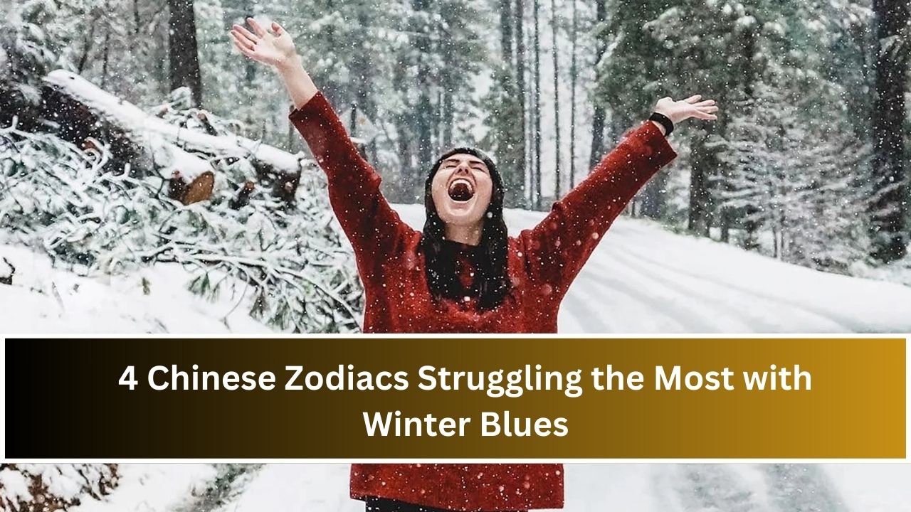 Chinese Zodiacs Struggling the Most with Winter Blues