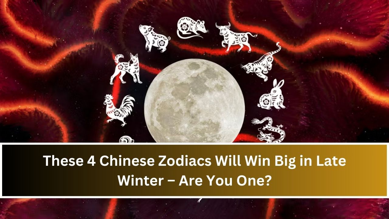 Chinese Zodiacs Will Win Big in Late Winter