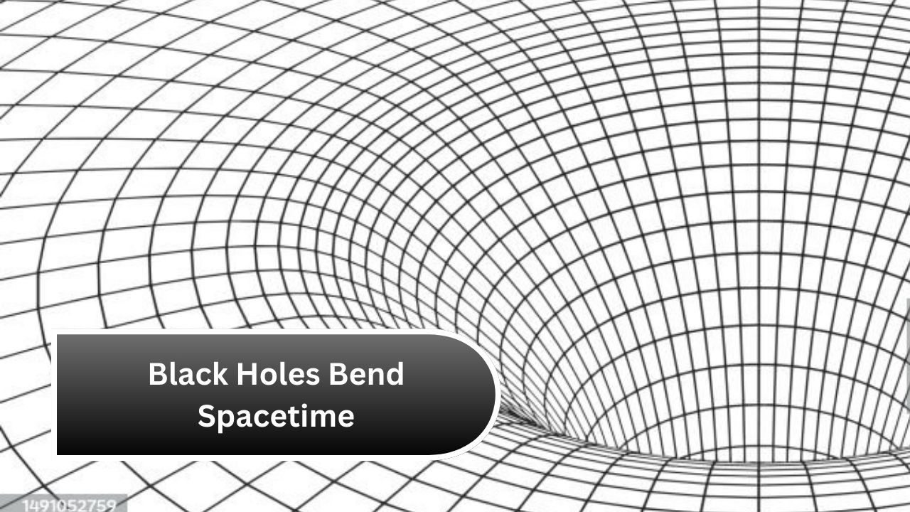 Black Holes Bend Spacetime