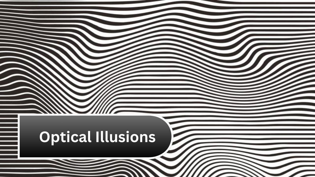 Optical Illusions