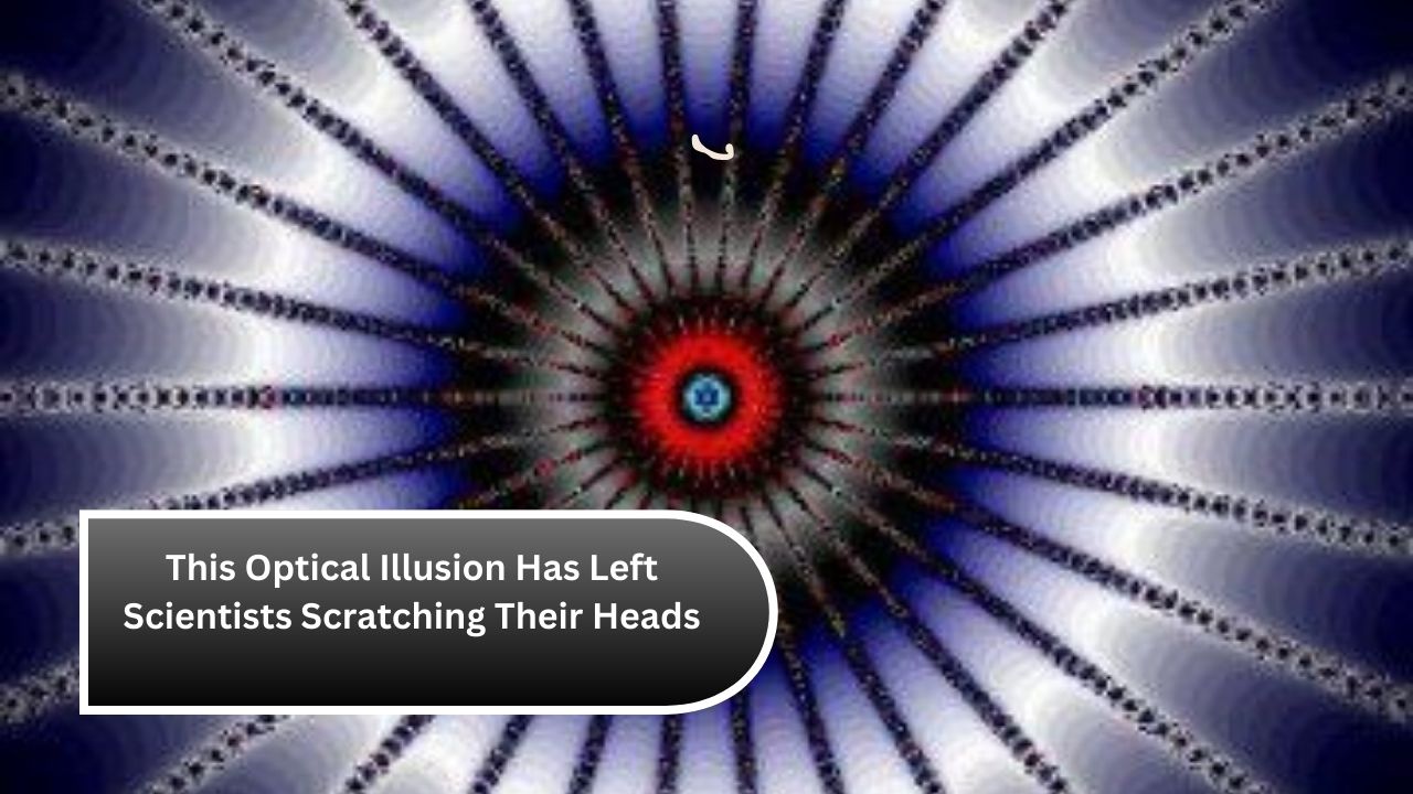 This Optical Illusion Has Left Scientists Scratching Their Heads