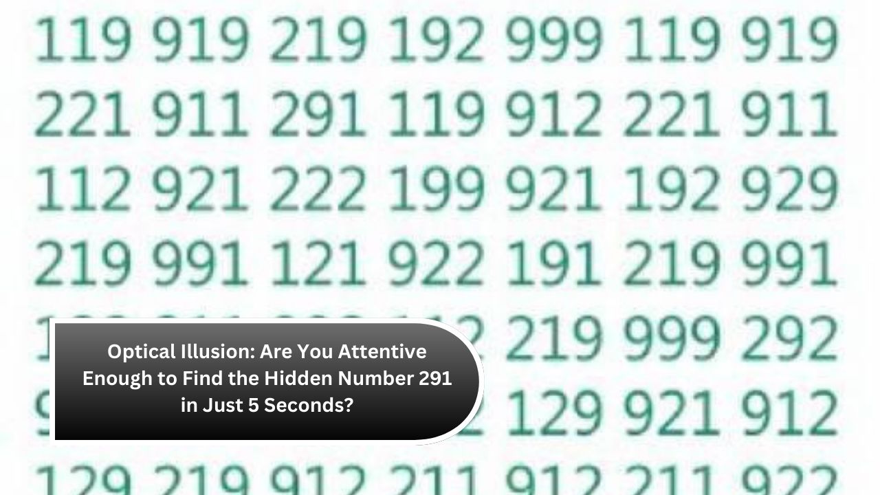 Optical Illusion Are You Attentive Enough to Find the Hidden Number 291 in Just 5 Seconds