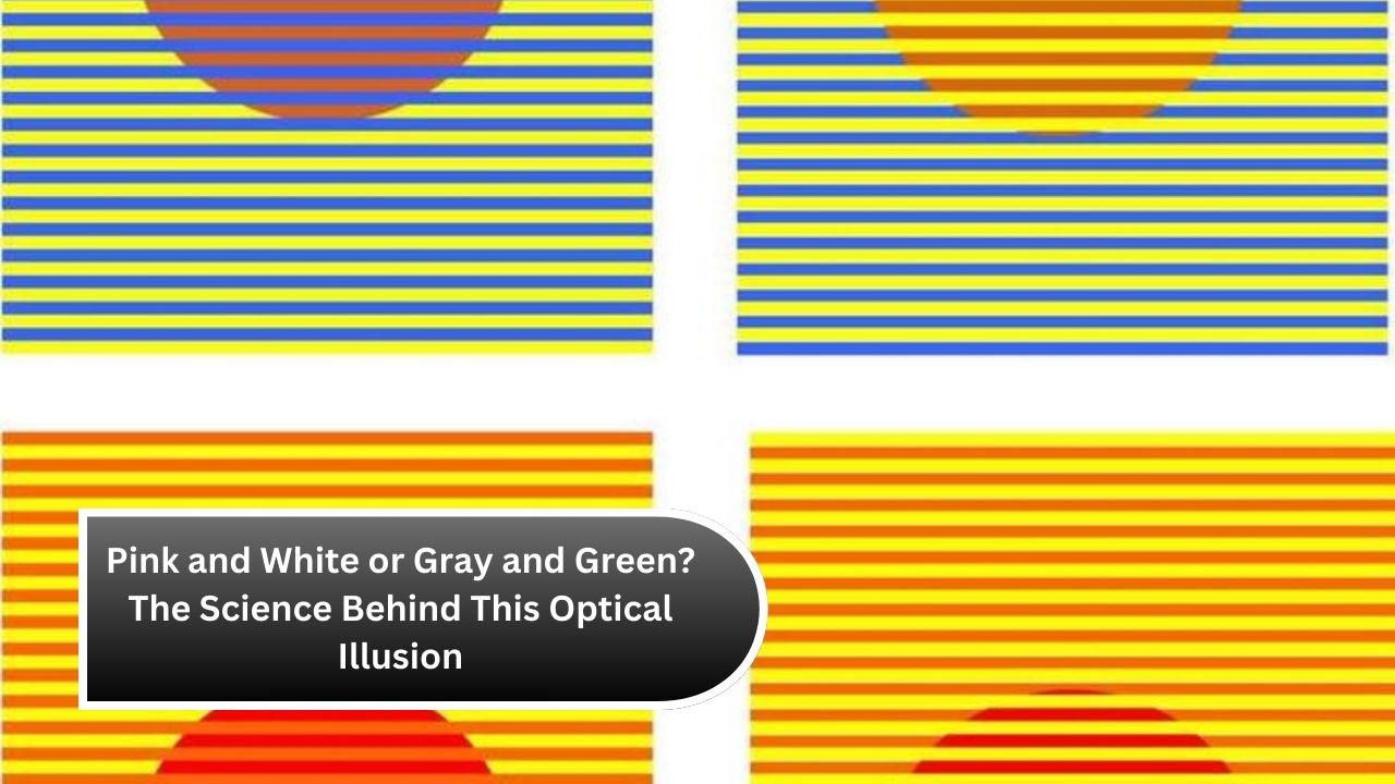 Pink and White or Gray and Green? The Science Behind This Optical Illusion