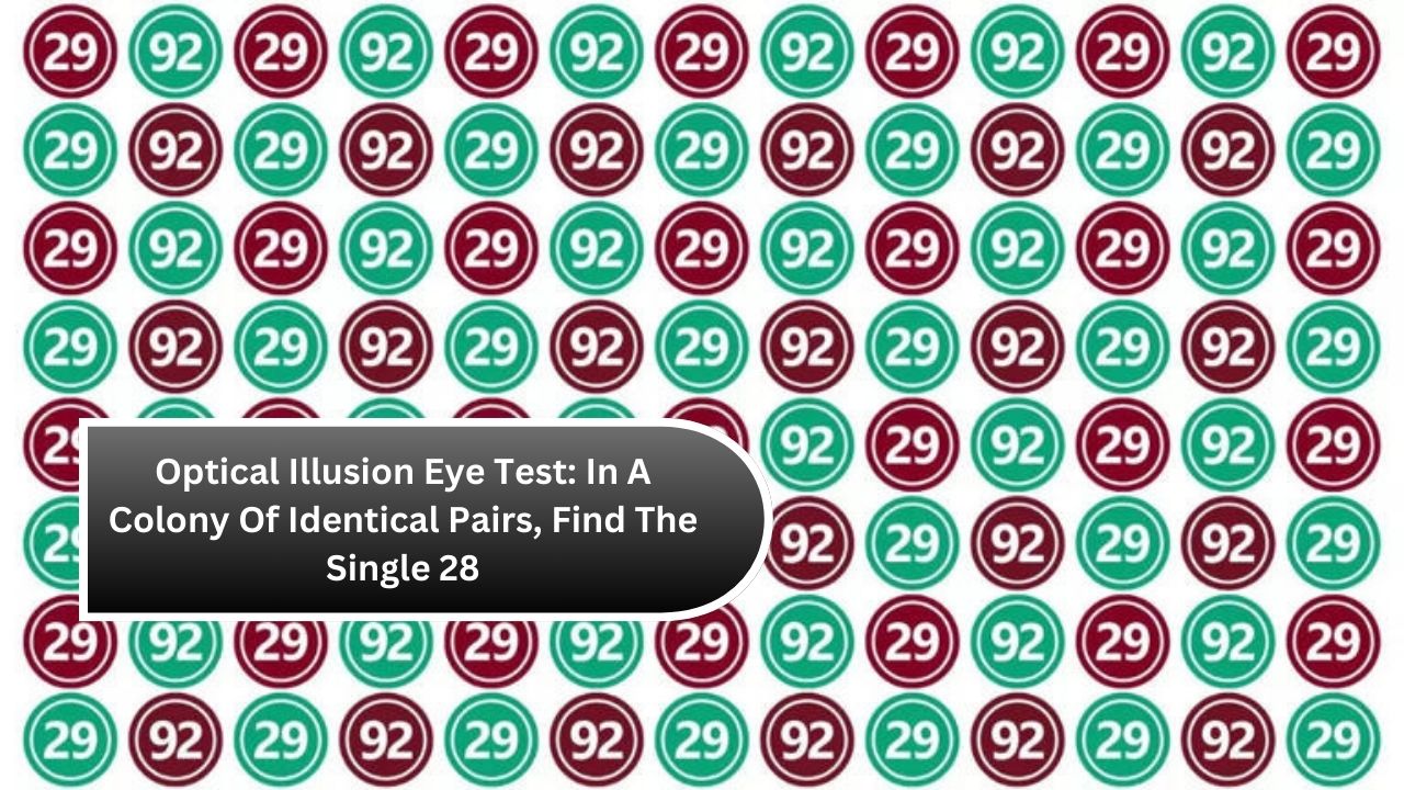 Optical Illusion Eye Test In A Colony Of Identical Pairs, Find The Single 28