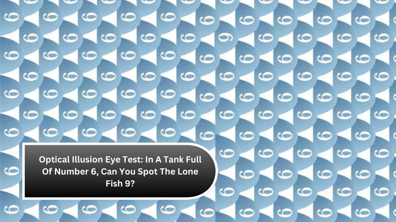 Optical Illusion Eye Test: In A Tank Full Of Number 6, Can You Spot The Lone Fish 9?