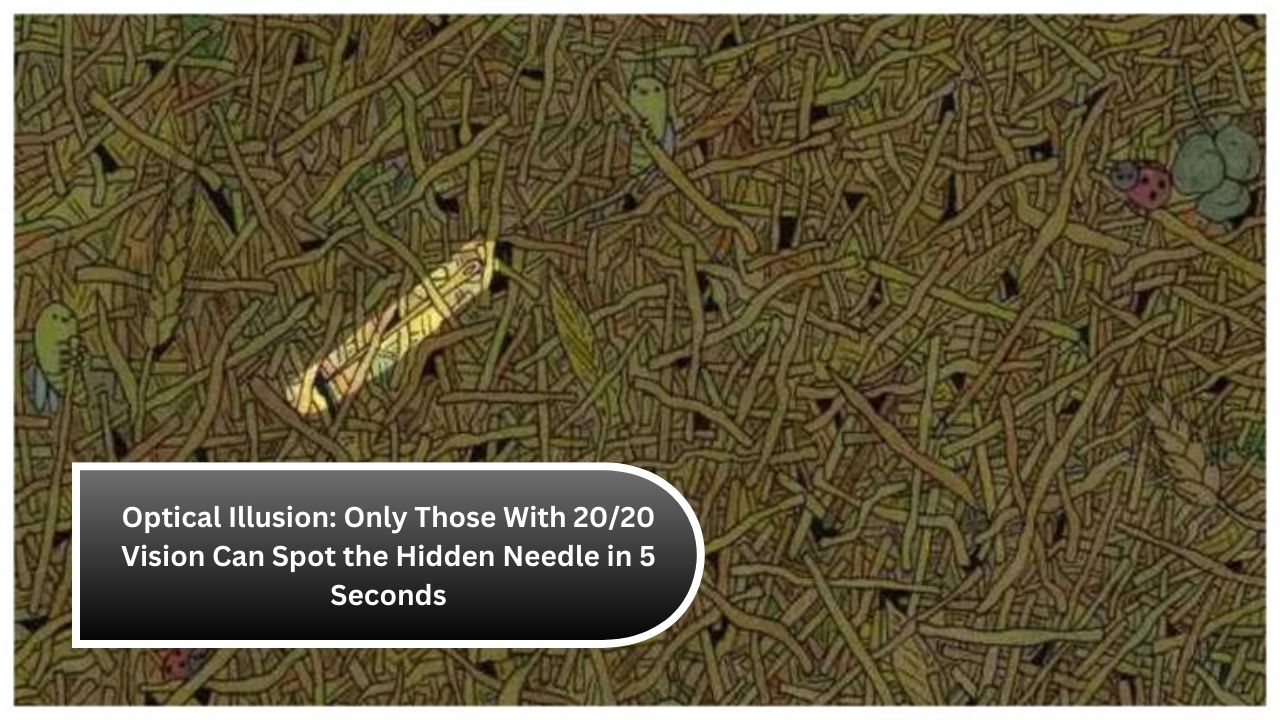 Optical Illusion: Only Those With 20/20 Vision Can Spot the Hidden Needle in 5 Seconds