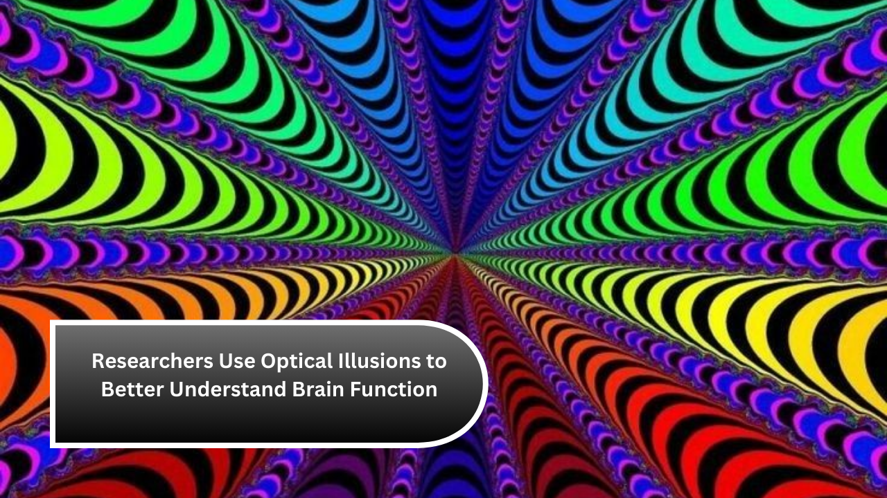 Researchers Use Optical Illusions to Better Understand Brain Function