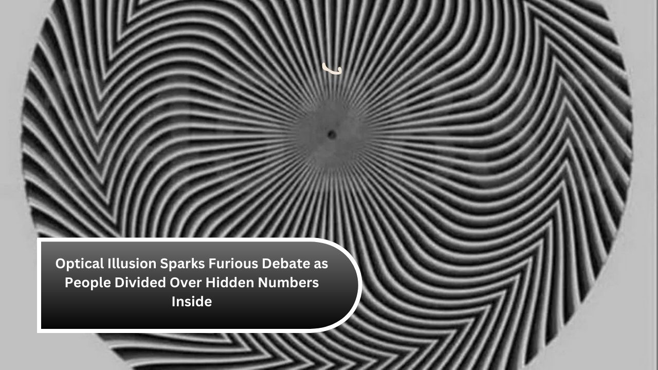 Optical Illusion Sparks Furious Debate as People Divided Over Hidden Numbers Inside