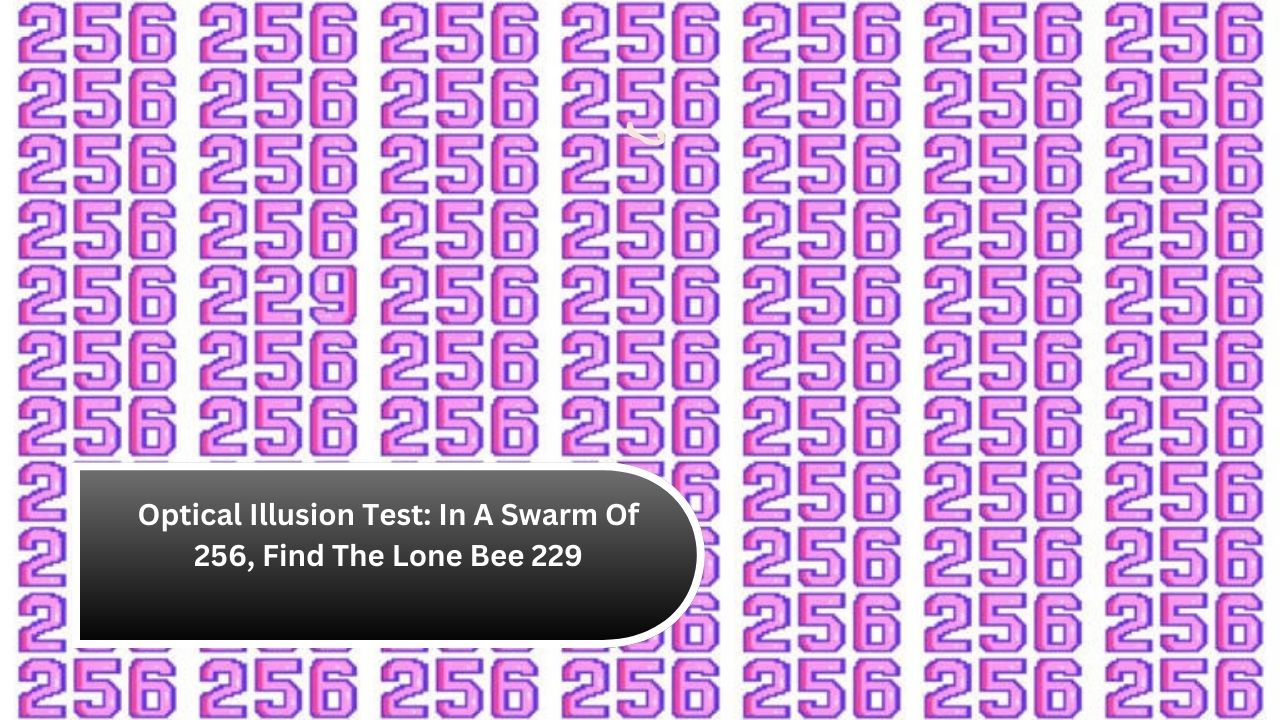 Optical Illusion Test In A Swarm Of 256, Find The Lone Bee 229