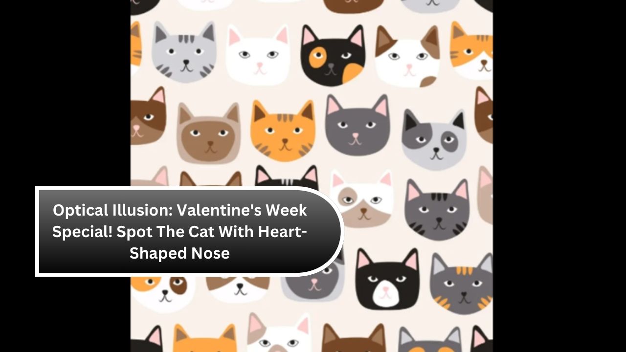 Optical Illusion: Valentine's Week Special! Spot The Cat With Heart-Shaped Nose