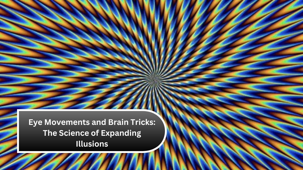 Eye Movements and Brain Tricks: The Science of Expanding Illusions