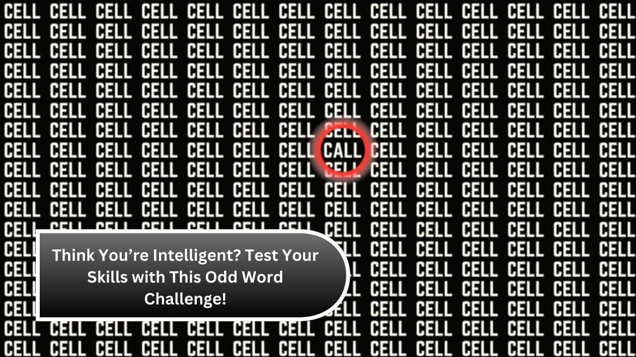 Think You’re Intelligent? Test Your Skills with This Odd Word Challenge!