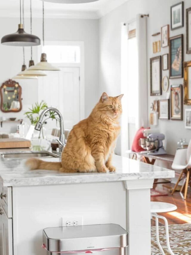 0e662f85525d928d4514ac13232a583f