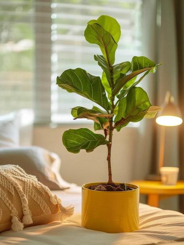 32e91fa95031b928936835f377744212