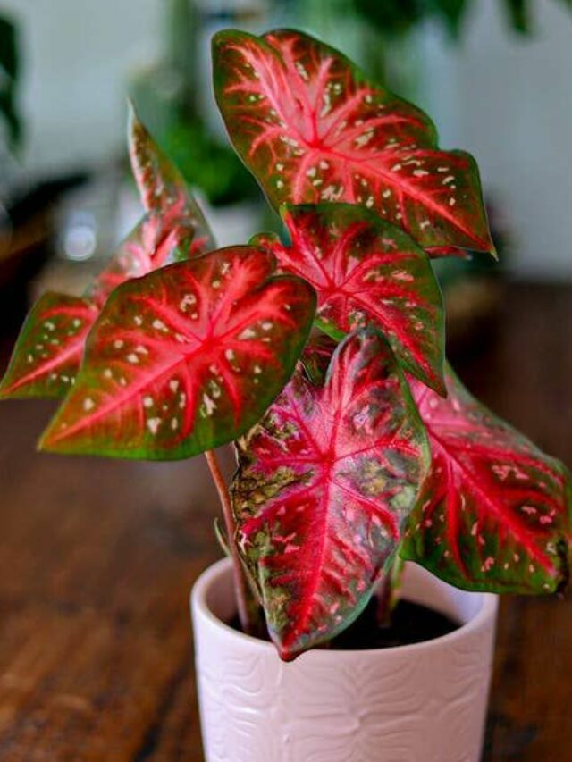 44eebab610b3527323fc8069ae98f640