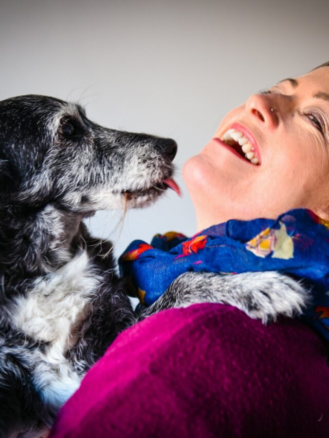 woman in blue and white floral shirt lying on red sofa