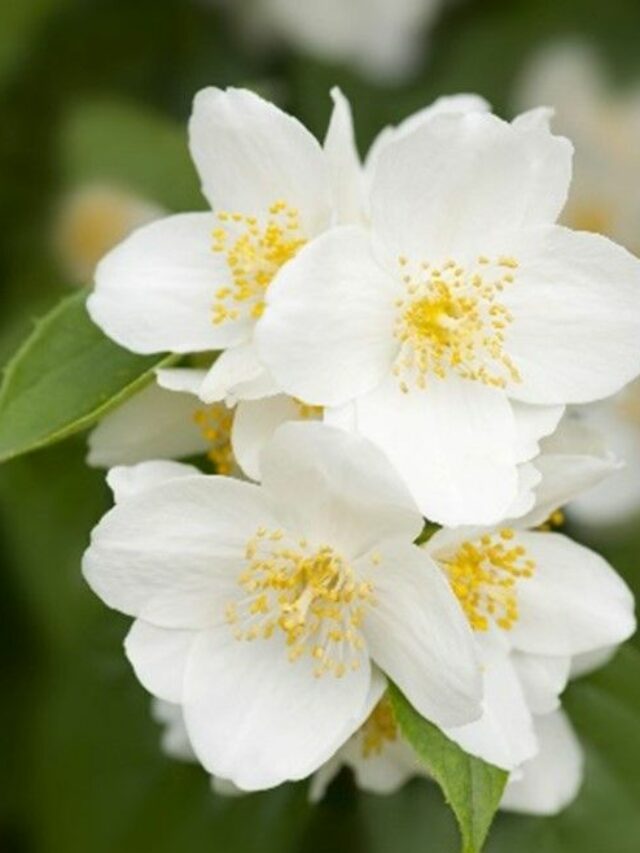 7003a16d81c93ab65a71bd555d66da8d