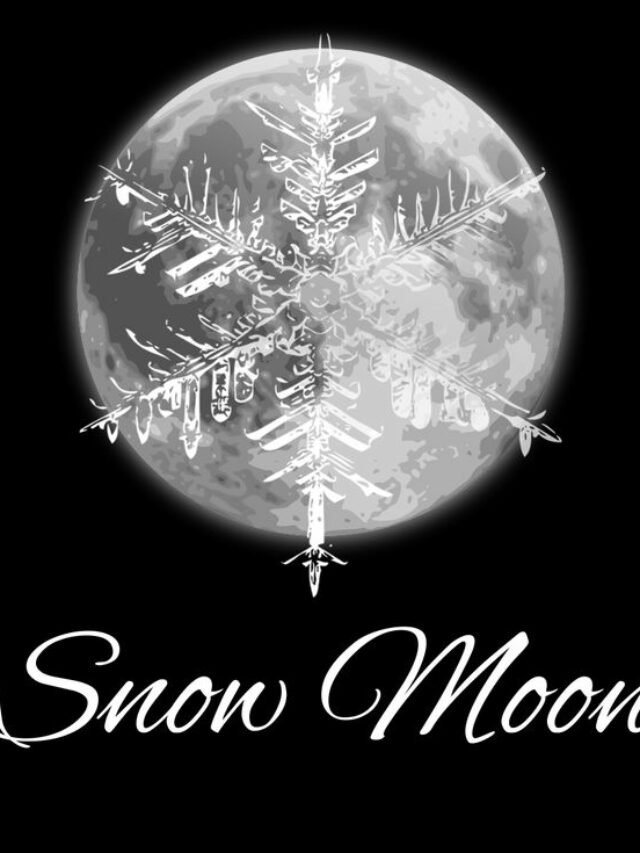 75703c25a228f952ccdb06e8e9010306