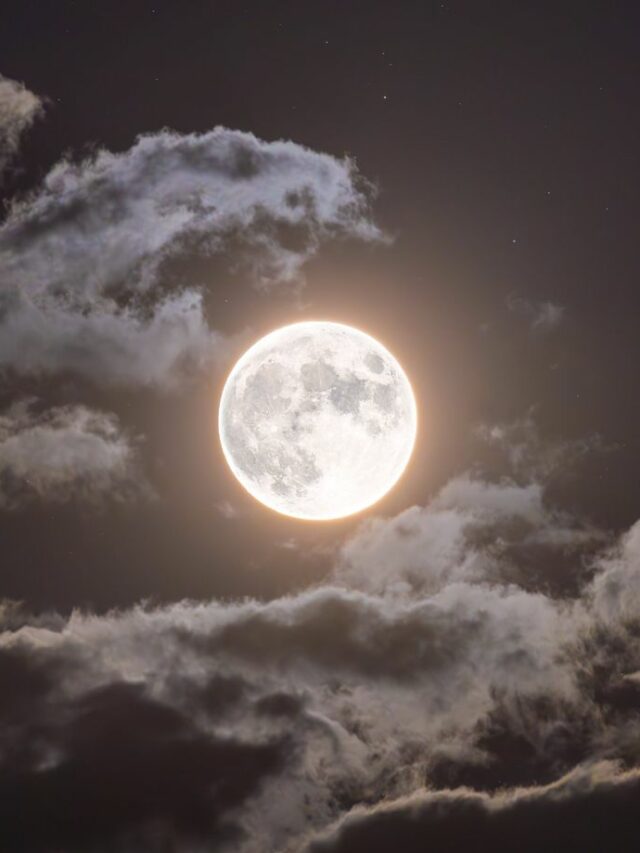 78374197d83a2e856edf36dd2316b8b1