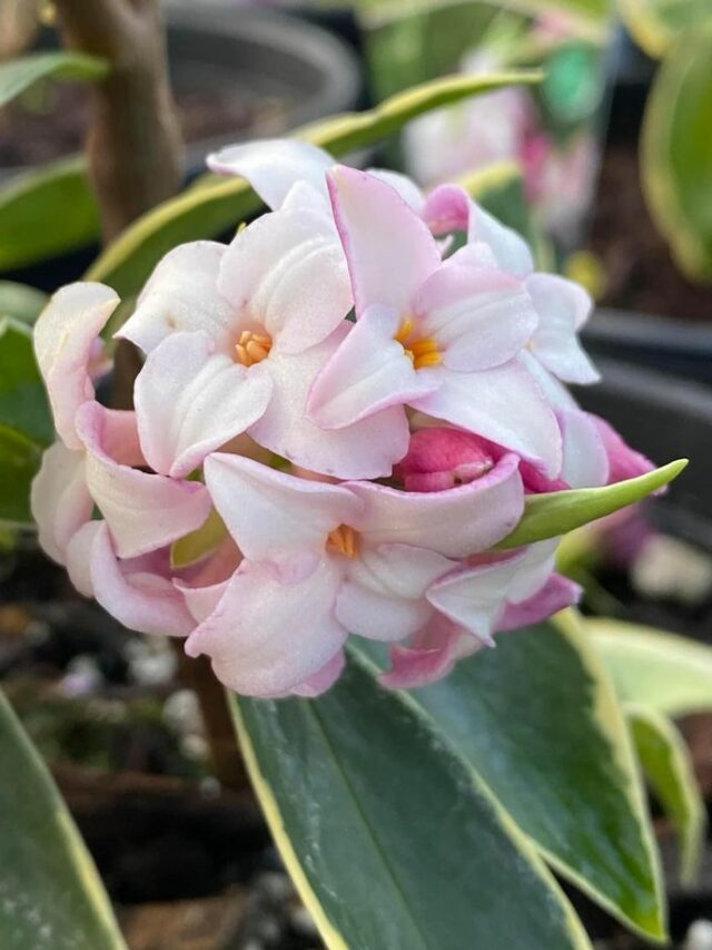 7902637c040a17eaf4e60253f70f8757